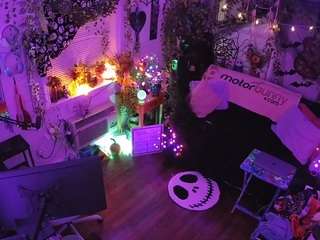 voyeurcam-veccasalt-01