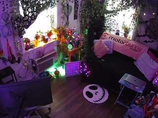 voyeurcam-veccasalt-... webcam