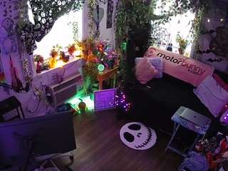 voyeurcam-veccasalt-01