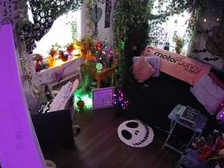 VECCASALT-Welcome! -NEW FANCLUB OPTION AVAILABLE!-LIVE Performance room/no tips needed! MODEL PAGE@VECCASALT Ft. @NelParker -Please respect room rules. [8945 tokens remaining]