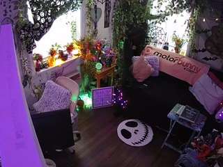 voyeurcam-veccasalt-01