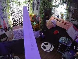 voyeurcam-veccasalt-01