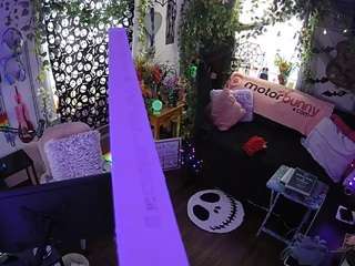 voyeurcam-veccasalt-01