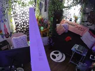 voyeurcam-veccasalt-... webcam