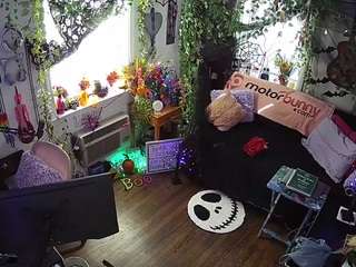 voyeurcam-veccasalt-... webcam