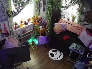 VECCASALT-Welcome! -NEW FANCLUB OPTION AVAILABLE!-LIVE Performance room/no tips needed! MODEL PAGE@VECCASALT Ft. @NelParker -Please respect room rules. [8945 tokens remaining]