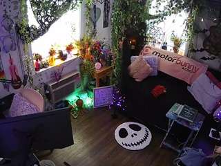 VECCASALT-Welcome! -NEW FANCLUB OPTION AVAILABLE!-LIVE Performance room/no tips needed! MODEL PAGE@VECCASALT Ft. @NelParker -Please respect room rules. [8945 tokens remaining]