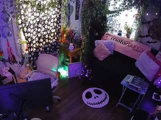 voyeurcam veccasalt 01