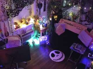 VECCASALT-Welcome! -NEW FANCLUB OPTION AVAILABLE!-LIVE Performance room/no tips needed! MODEL PAGE@VECCASALT Ft. @NelParker -Please respect room rules. [8945 tokens remaining]