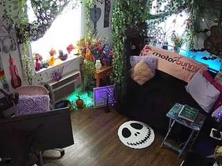 voyeurcam-veccasalt-01