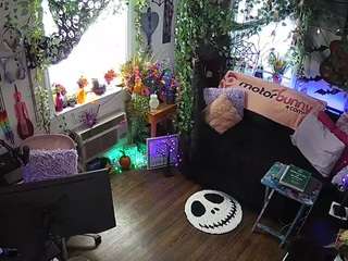 voyeurcam-veccasalt-01