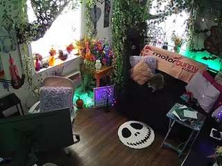 voyeurcam-veccasalt-01