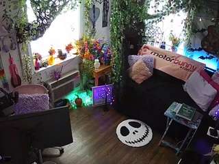 voyeurcam veccasalt 01