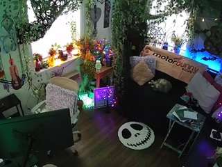 voyeurcam-veccasalt-01