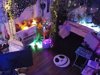 voyeurcam-veccasalt-01