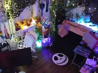 voyeurcam veccasalt 01