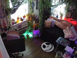 voyeurcam-veccasalt-01