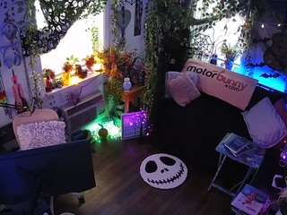 voyeurcam veccasalt 01