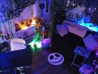 voyeurcam veccasalt 01