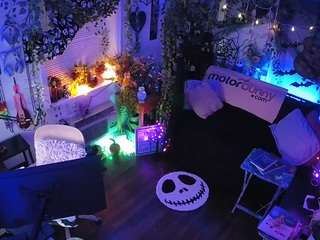 VECCASALT-Welcome! -NEW FANCLUB OPTION AVAILABLE!-LIVE Performance room/no tips needed! MODEL PAGE@VECCASALT Ft. @NelParker -Please respect room rules. [8945 tokens remaining]