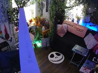 voyeurcam veccasalt 01