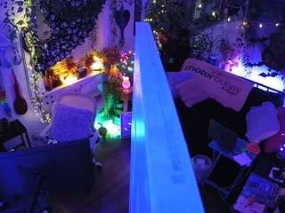 voyeurcam-veccasalt-01 chat