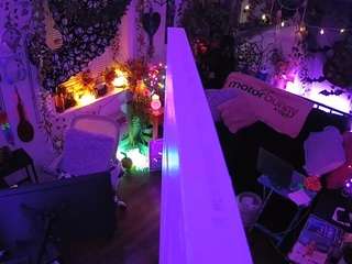 voyeurcam veccasalt 01