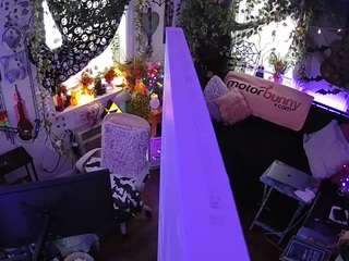 voyeurcam-veccasalt-01 chat