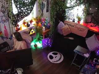 voyeurcam-veccasalt-01 chat