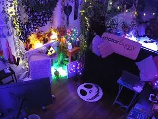 voyeurcam-veccasalt-01 chat