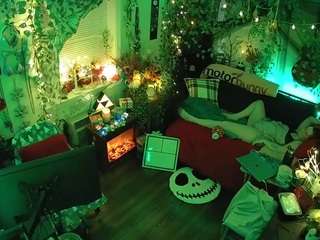 voyeurcam-veccasalt-01