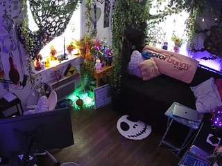 voyeurcam-veccasalt-01 chat