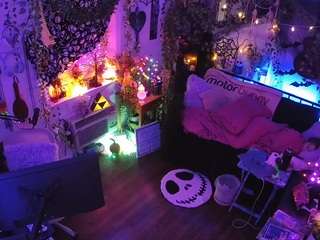 voyeurcam-veccasalt-01 chat