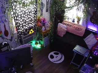 voyeurcam-veccasalt-01 chat