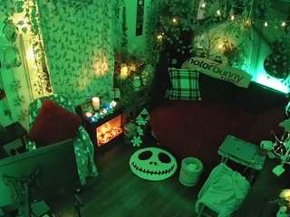 voyeurcam-veccasalt-01