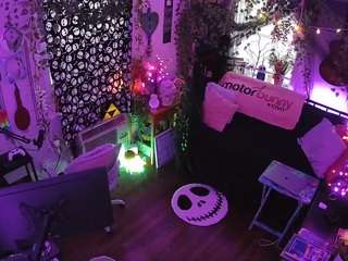 voyeurcam-veccasalt-01 chat