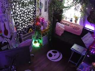 voyeurcam-veccasalt-01 chat