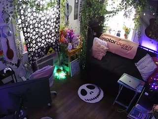 voyeurcam veccasalt 01