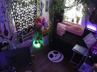 voyeurcam veccasalt 01