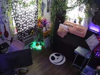 voyeurcam veccasalt 01