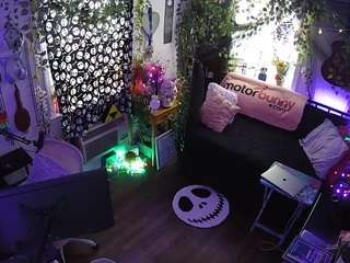 voyeurcam veccasalt 01