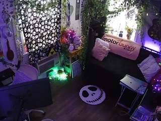 voyeurcam veccasalt 01