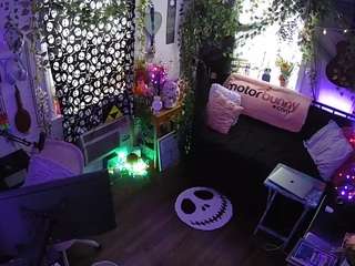 voyeurcam veccasalt 01