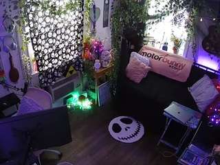 voyeurcam-veccasalt-01 chat