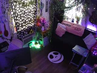 voyeurcam-veccasalt-01 chat