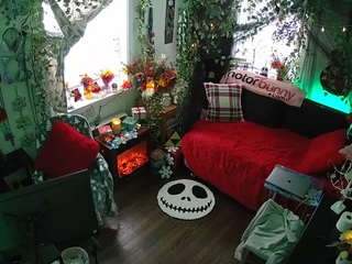 voyeurcam veccasalt 01