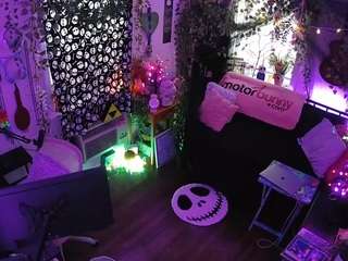 voyeurcam veccasalt 01