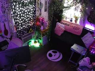 voyeurcam veccasalt 01