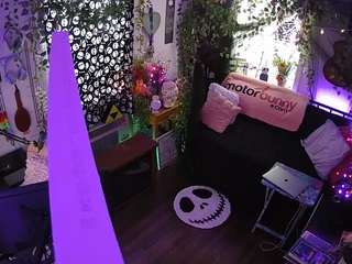 voyeurcam veccasalt 01