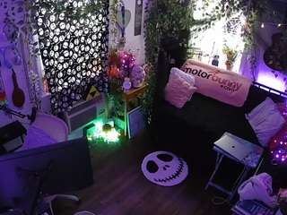 voyeurcam veccasalt 01